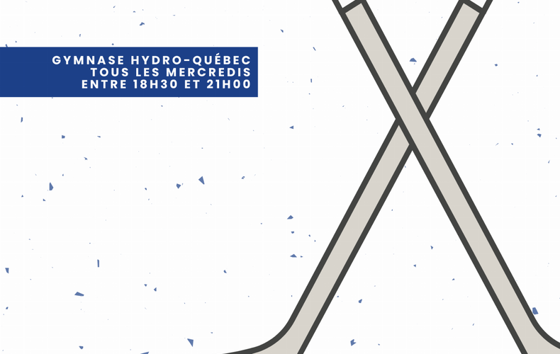 HOCKEY COSOM ET AUTRES SPORTS !